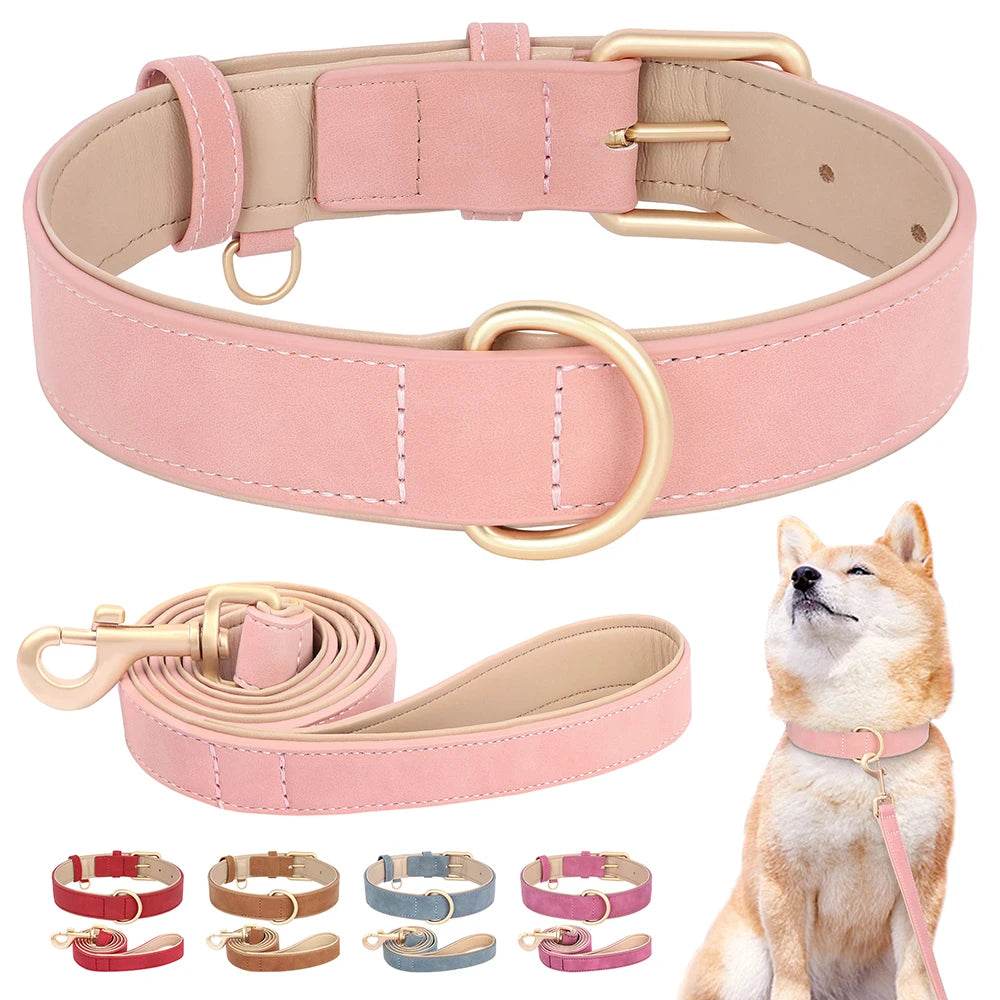 Set Collar y Correa de Cuero Premium