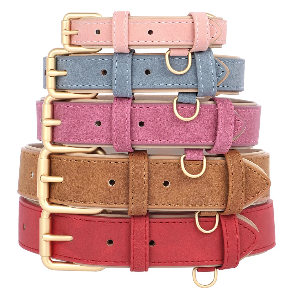Set Collar y Correa de Cuero Premium